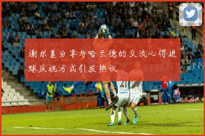 谢尔基分享与哈兰德的交流心得进球庆祝方式引发热议