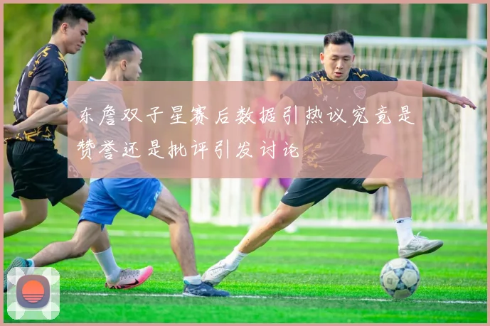 东詹双子星赛后数据引热议究竟是赞誉还是批评引发讨论